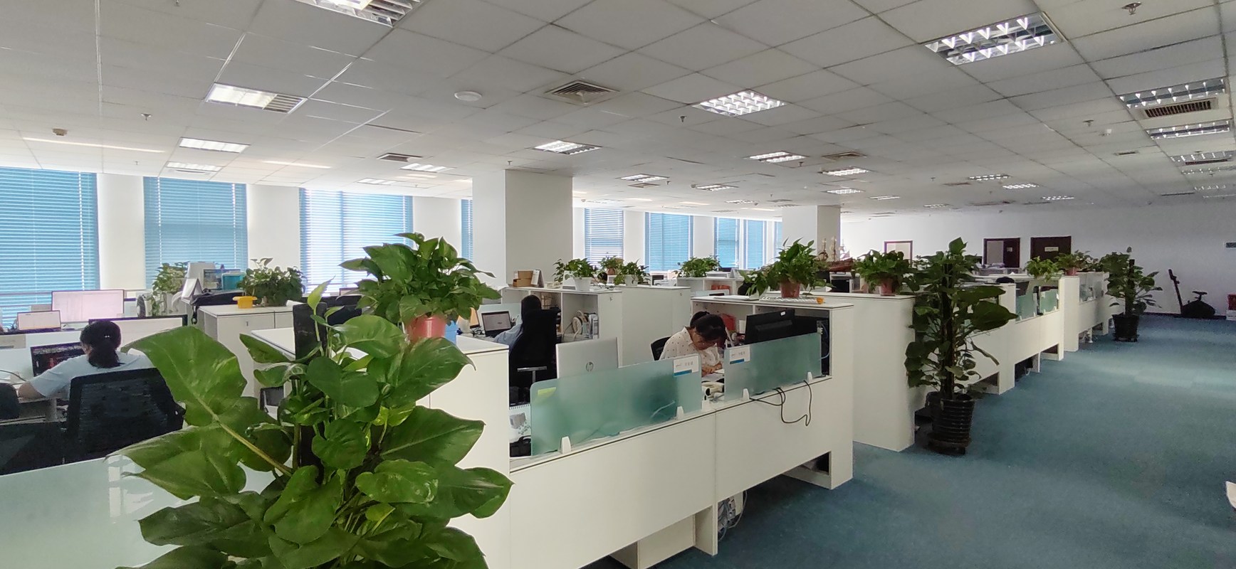 德利九州物流自动化系统(北京)信息